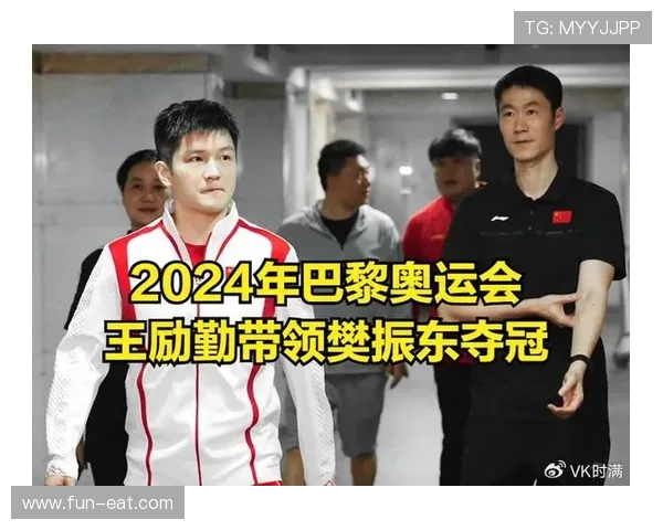 王励勤正联系樊振东归队 王楚钦迎强援